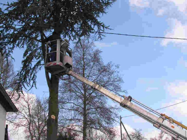 2010_-_baumfaellaktion_kirche_2_20180127_1377721349