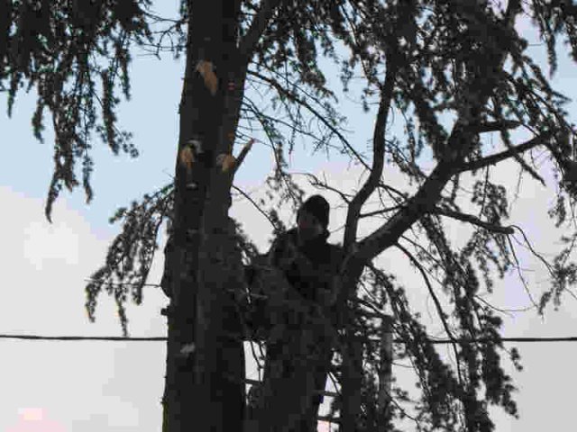 2010_-_baumfaellaktion_kirche_3_20180127_1485234964