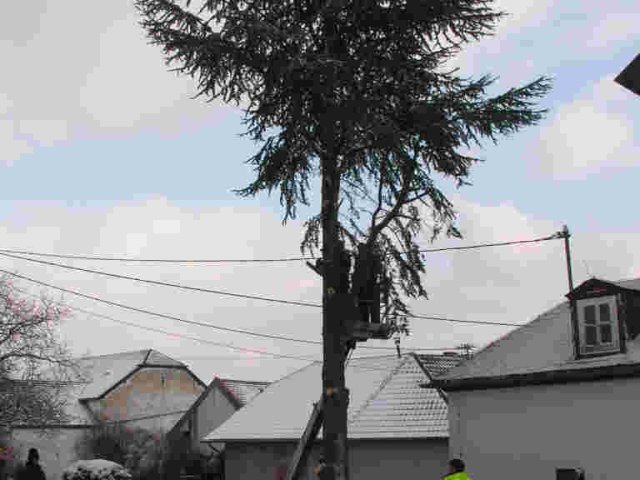 2010_-_baumfaellaktion_kirche_4_20180127_1262016796