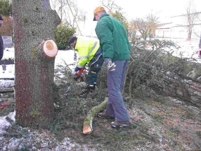 2010_-_baumfaellaktion_kirche_7_20180127_1658077808