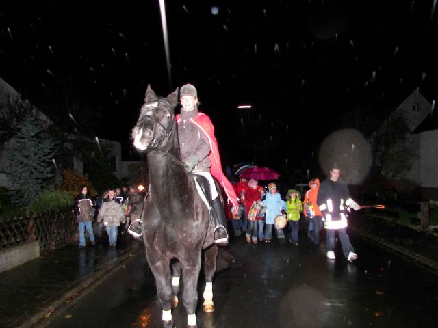 2007_-_martinszug_3_20180127_1660027029