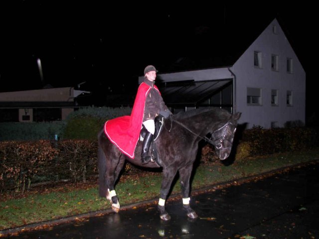 2007_-_martinszug_4_20180127_1328447869