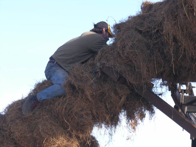 2008_-_hoettenbrennen_28_20180127_1734244251