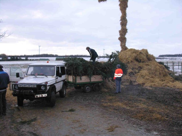 2010_-_hoettenbrennen_15_20180127_1208057518