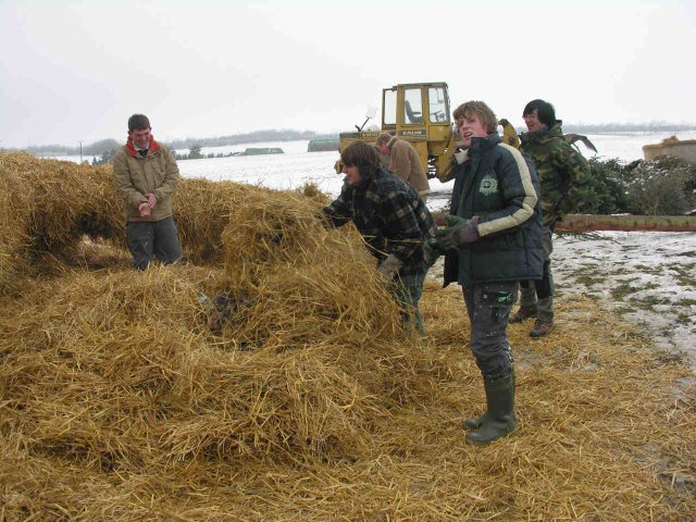2010_-_hoettenbrennen_2_20180127_1763286351