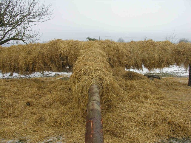 2010_-_hoettenbrennen_5_20180127_1595317907
