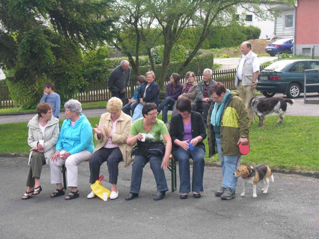 2010_-_maibaumschlagen_20_20180127_1456643430