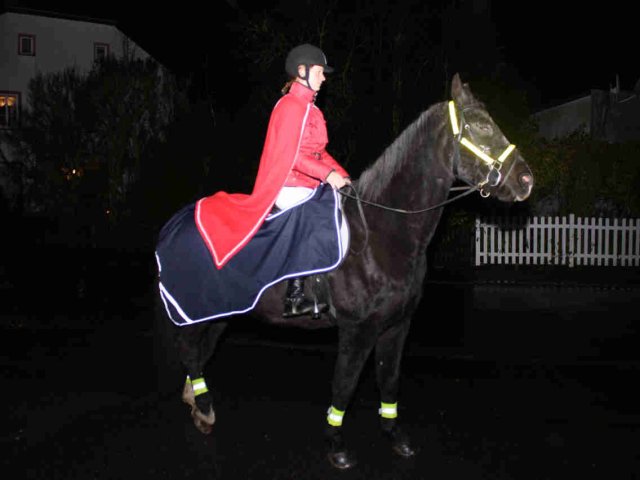 2010_-_martinszug_2_20180127_1620495330