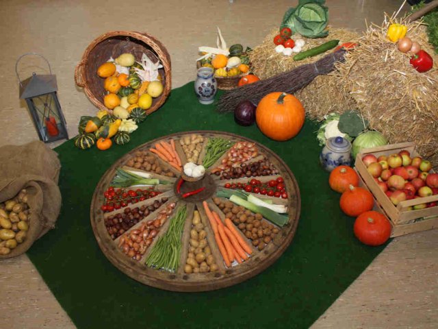 2010_-_seniorentag_1_20180127_1693834608