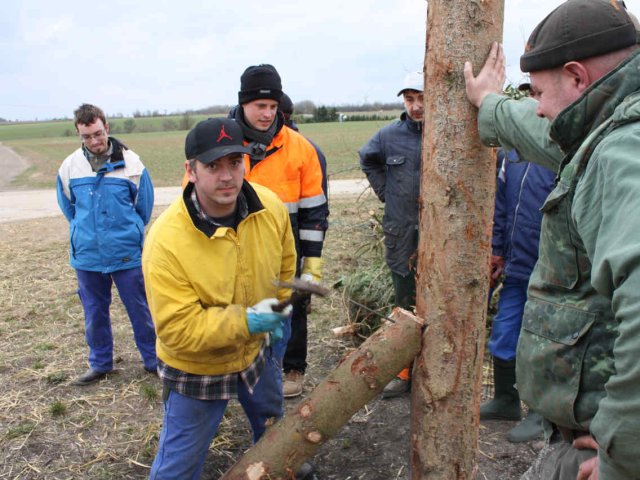 2011_-_hoettenbrennen_12_20180127_1540883600