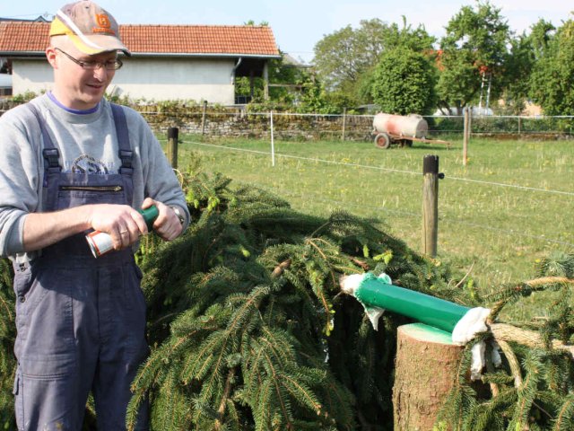 2011_-_maifeier_11_20180127_1386473521