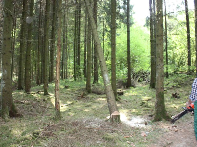 2011_-_maifeier_3_20180127_1218076267