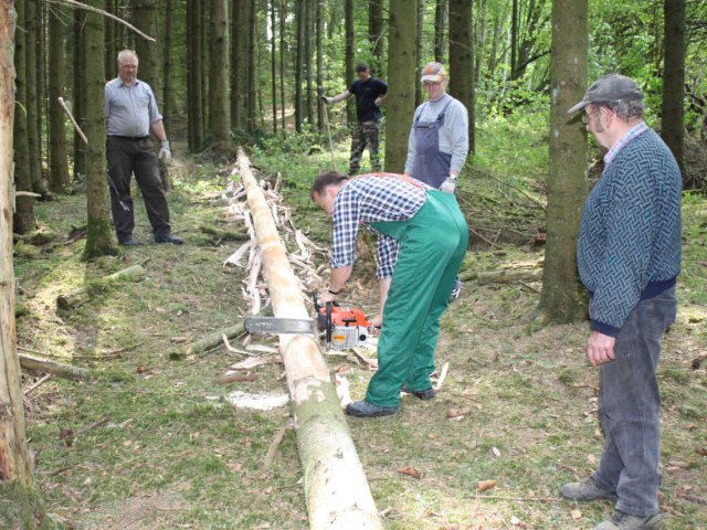 2011_-_maifeier_4_20180127_1085830473