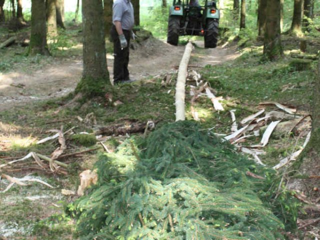 2011_-_maifeier_5_20180127_1536001579