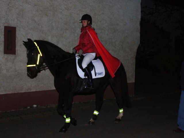 2011_-_martinszug_6_20180127_1454130141