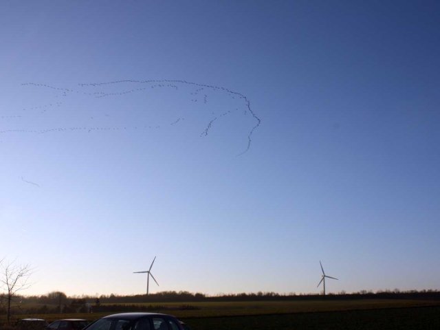 2014_-_hoettenbrennen_17_20180127_2004184500