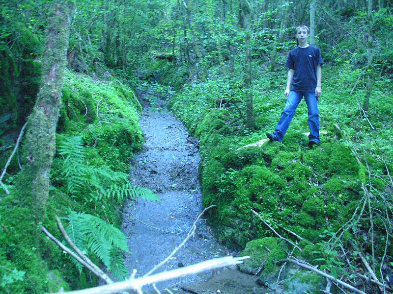 bachlauf-stroassenbach.jpg